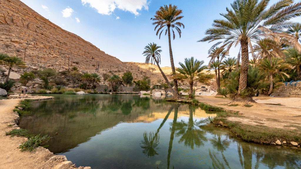 Eastern Province - Al-Ahsa Oasis with thousands of palm trees under the desert sun